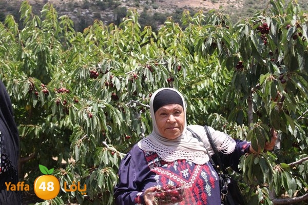 bayareq re7la shamal 0612 (84).JPG